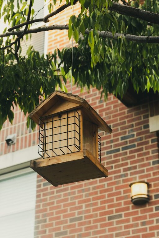 Beginner Tips for Backyard Birdwatching: A Guide to Enjoying Nature at Home